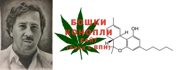 прущий лед Горняк