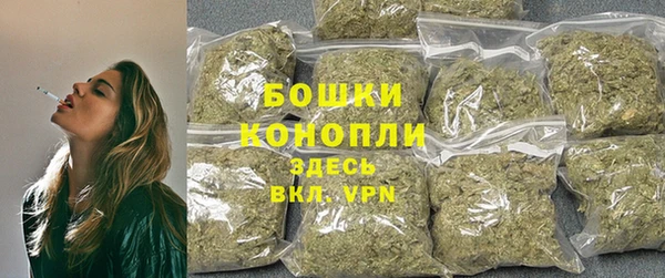 МДПВ Горно-Алтайск