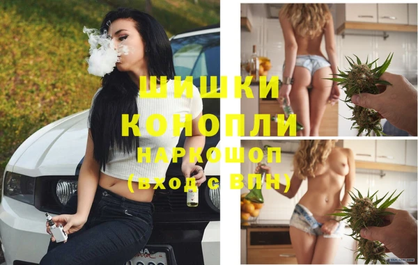 соль ск Волосово