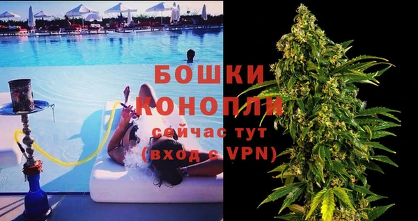 соль ск Волосово