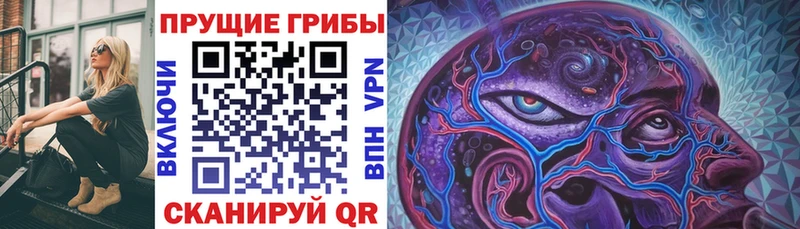 закладки Дудинка Псилоцибиновые грибы Magic Shrooms