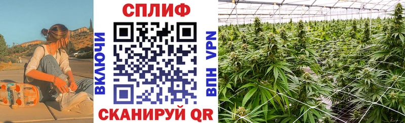 Бошки Шишки план  гидра сайт  Дудинка 